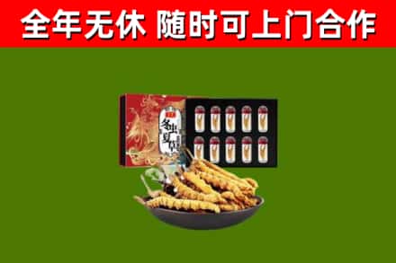 昌吉州烟酒回收冬虫夏草礼盒.jpg
